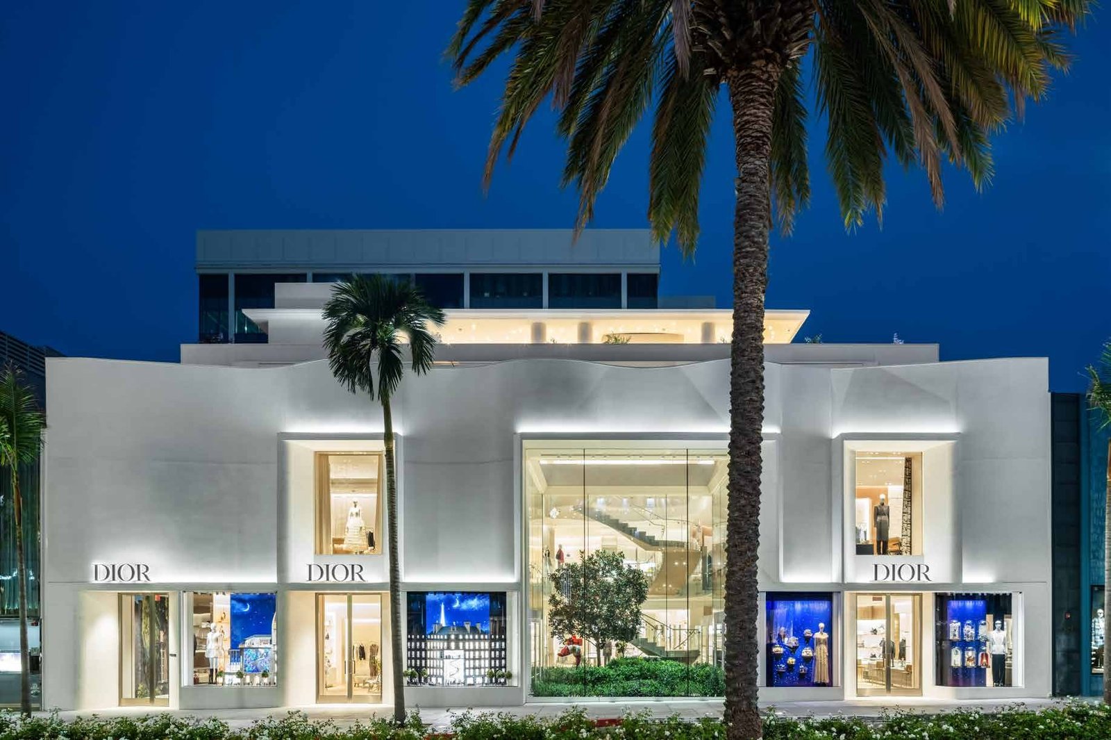 White curved storefront with lit windows, flanked by palm trees at night.