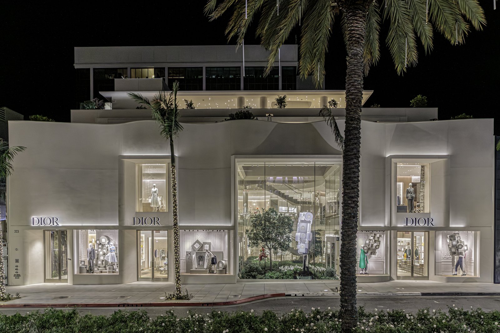 White curved storefront with illuminated display windows at night, palm tree in front.
